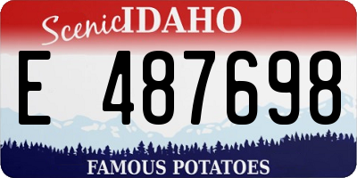 ID license plate E487698