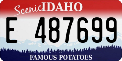 ID license plate E487699