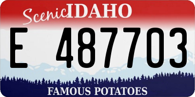 ID license plate E487703