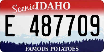 ID license plate E487709