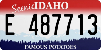 ID license plate E487713