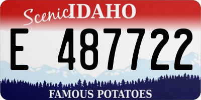 ID license plate E487722