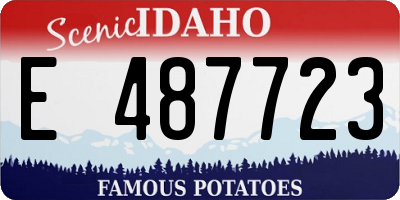 ID license plate E487723