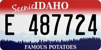 ID license plate E487724