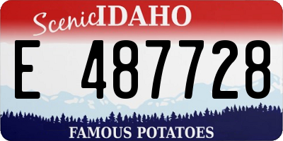 ID license plate E487728