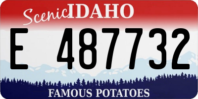 ID license plate E487732
