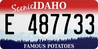 ID license plate E487733