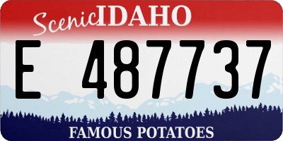 ID license plate E487737
