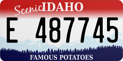 ID license plate E487745