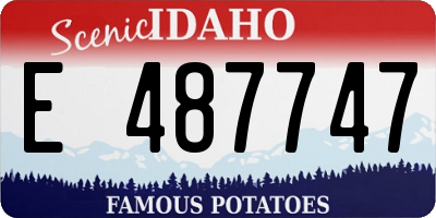 ID license plate E487747