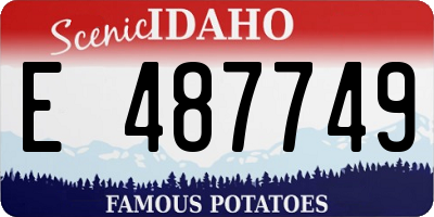 ID license plate E487749