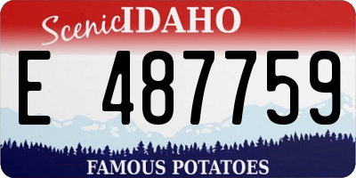 ID license plate E487759