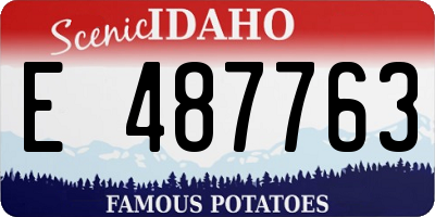 ID license plate E487763