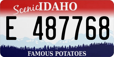 ID license plate E487768