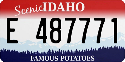 ID license plate E487771