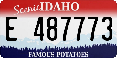 ID license plate E487773