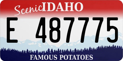 ID license plate E487775