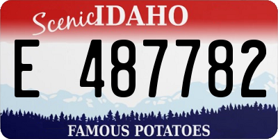ID license plate E487782