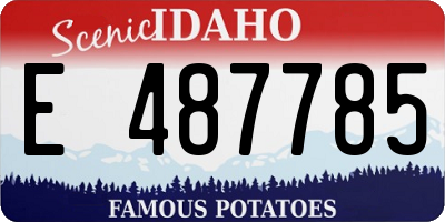 ID license plate E487785