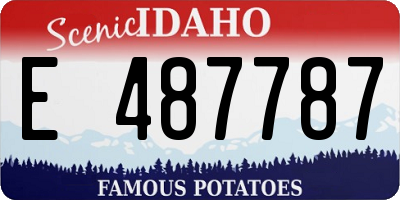 ID license plate E487787