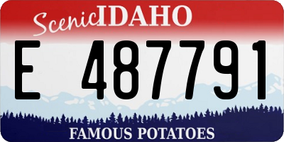 ID license plate E487791
