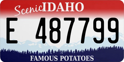 ID license plate E487799