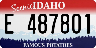 ID license plate E487801