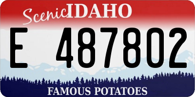 ID license plate E487802