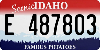ID license plate E487803