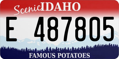 ID license plate E487805