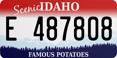 ID license plate E487808