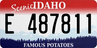 ID license plate E487811