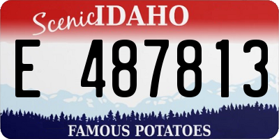 ID license plate E487813