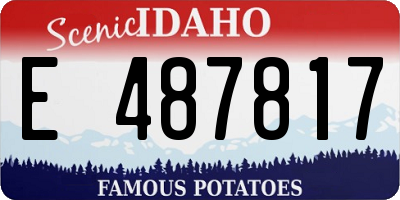 ID license plate E487817