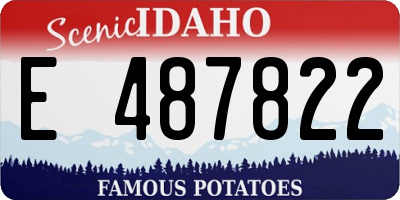 ID license plate E487822