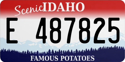 ID license plate E487825