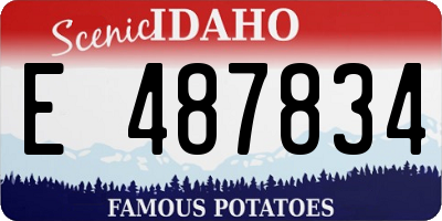 ID license plate E487834