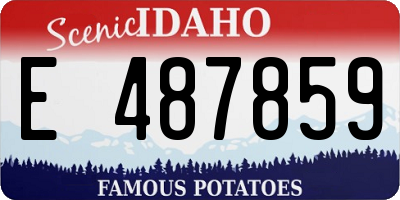 ID license plate E487859