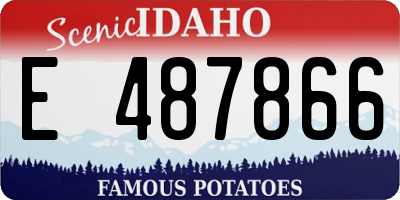 ID license plate E487866