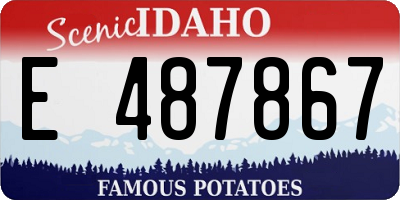 ID license plate E487867