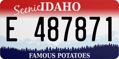 ID license plate E487871