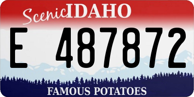 ID license plate E487872