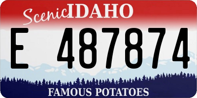 ID license plate E487874