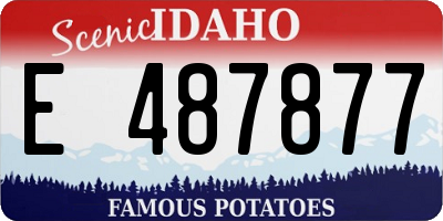 ID license plate E487877