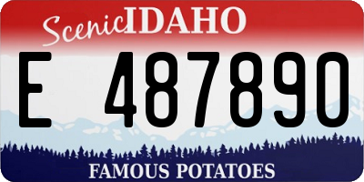 ID license plate E487890