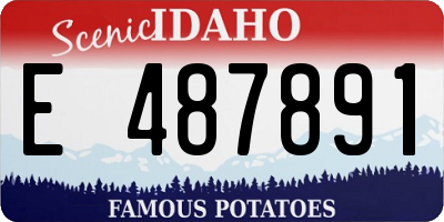 ID license plate E487891