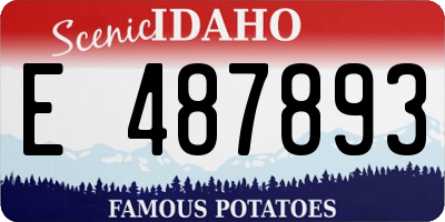 ID license plate E487893