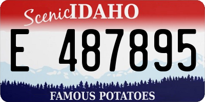 ID license plate E487895