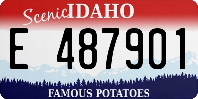 ID license plate E487901