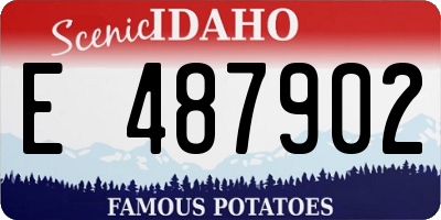 ID license plate E487902